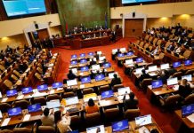 Senado