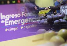 Ingreso Familiar de Emergencia