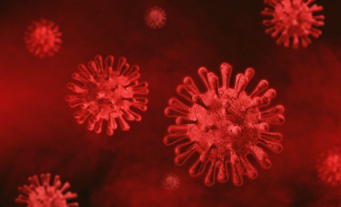 Coronavirus Coronavirus