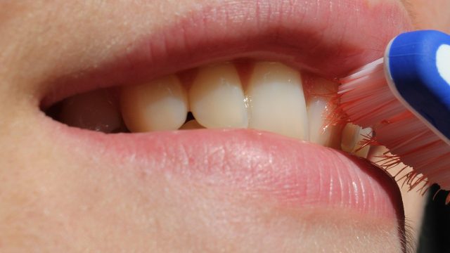 toothbrush-2696810_1280-640x360