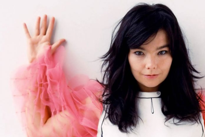 Bjork Bjork