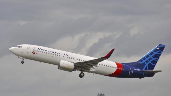 ilustrasi-pesawat-sriwijaya-air-12_169