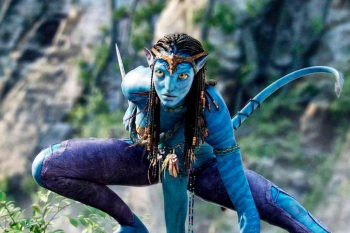 Avatar