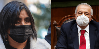 Fabiola Campillai y Jaime Mañalich serán candidatos al Senado