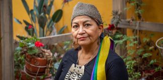 Elisa Loncon llamó al Gobierno a aprobar más recursos para la Convención Constituyente.