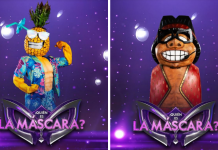 nuevo programa CHV