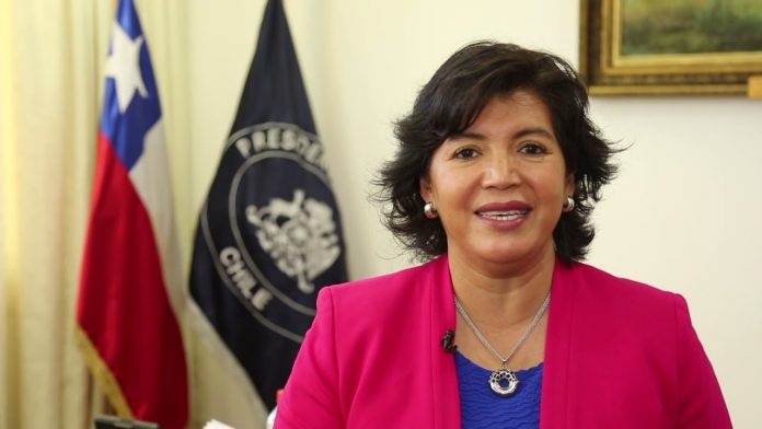 Yasna Provoste senadores