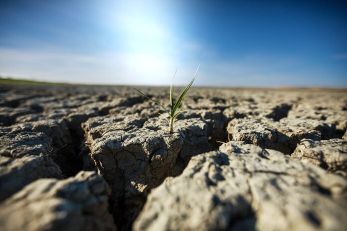 cambio climático cambio climático