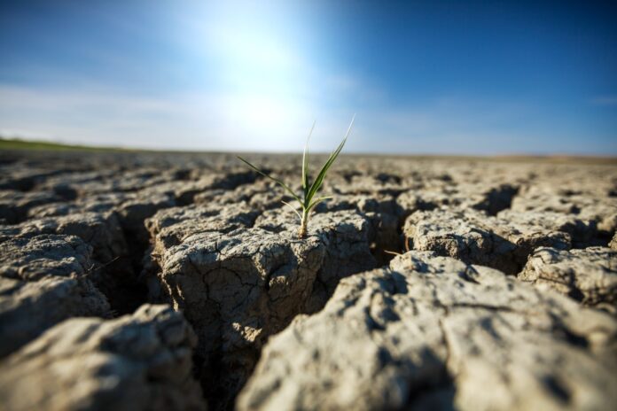 cambio climático