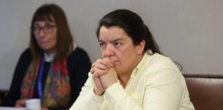 Diputada Romero