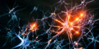 Un nuevo estudio cuestiona la efectividad de fármacos en esclerosis múltiple.