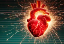 Día Mundial del Corazón: conoce cuándo iniciar controles y síntomas a no ignorar.