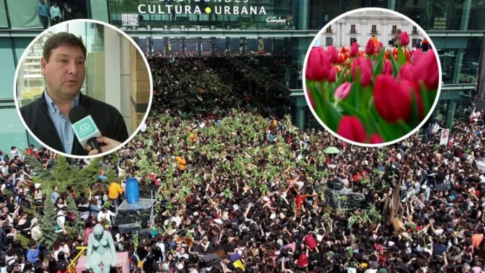 Falta de educación cívica: críticas a la organización del Día del Tulipán. Falta de educación cívica: críticas a la organización del Día del Tulipán.