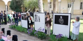 Retratos que revelan la lucha y esperanza de pacientes con leucemia mieloide crónica.