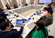 SII exige a empresas extranjeras emitir boletas de honorario en Chile.