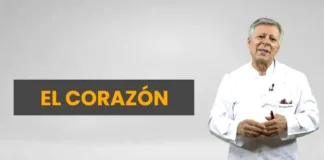 Descubre los 7 enemigos del corazón y cómo proteger tu salud cardiovascular.