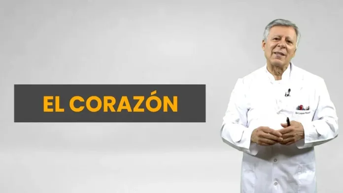 Descubre los 7 enemigos del corazón y cómo proteger tu salud cardiovascular. Descubre los 7 enemigos del corazón y cómo proteger tu salud cardiovascular.
