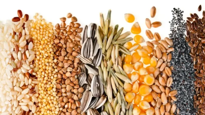 Semillas ricas en magnesio: clave para la producción de proteínas en el cuerpo. Semillas ricas en magnesio: clave para la producción de proteínas en el cuerpo.