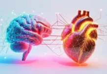 Explora los 6 tipos de amor y su impacto en nuestro cerebro según nueva investigación.