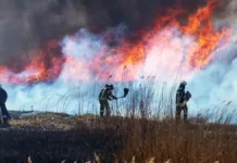 Incendios forestales en el oeste de EE. UU. amenazan a comunidades y ecosistemas.