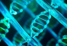 El químico que daña el ADN en envases de consumo humano