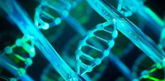 El químico que daña el ADN en envases de consumo humano