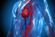 El sueño adecuado es vital para la recuperación del corazón tras un infarto.