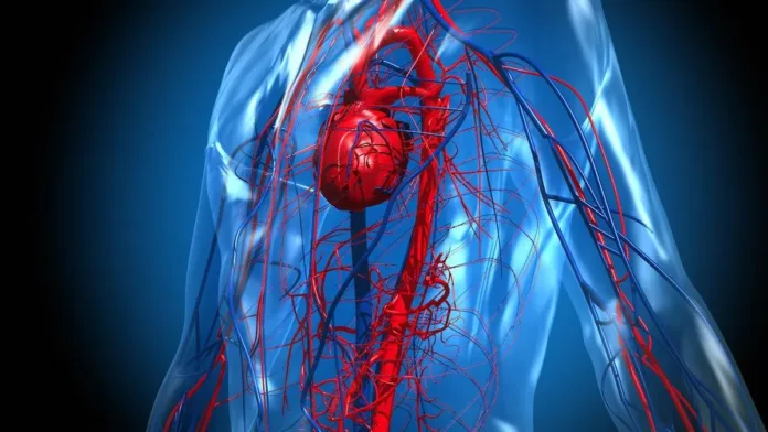El sueño adecuado es vital para la recuperación del corazón tras un infarto. El sueño adecuado es vital para la recuperación del corazón tras un infarto.