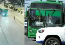 Trágico accidente en San Bernardo: hombre muere tras discusión con chofer de bus.
