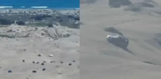 Indignación por autos invadiendo las dunas de Mantagua: un llamado a la conservación.
