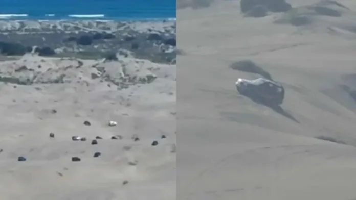 Indignación por autos invadiendo las dunas de Mantagua: un llamado a la conservación. Indignación por autos invadiendo las dunas de Mantagua: un llamado a la conservación.