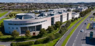 La Universidad de Irlanda lanza carrera para formar futuros 'influencers'.