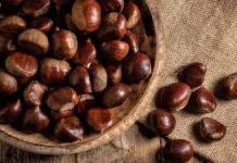 Descubre los sorprendentes beneficios de las castañas para tu salud.