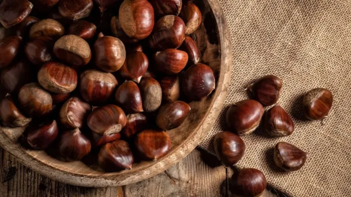 Descubre los sorprendentes beneficios de las castañas para tu salud. Descubre los sorprendentes beneficios de las castañas para tu salud.