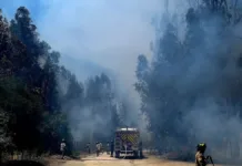 Incendio en Valparaíso: se ordena evacuación en Viña del Mar por seguridad.