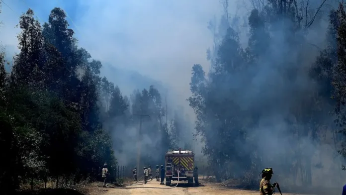 Incendio en Valparaíso: se ordena evacuación en Viña del Mar por seguridad. Incendio en Valparaíso: se ordena evacuación en Viña del Mar por seguridad.