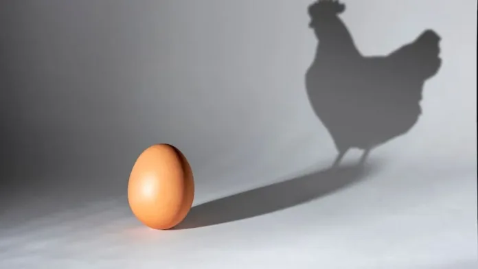 Un nuevo estudio ofrece respuestas al eterno dilema del huevo y la gallina. Un nuevo estudio ofrece respuestas al eterno dilema del huevo y la gallina.