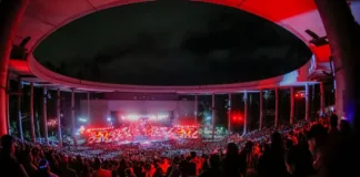 Teletón 2024 supera su meta por varios millones de pesos