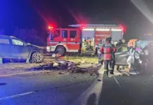 Trágico accidente en la Ruta del Itata: cinco vidas perdidas.