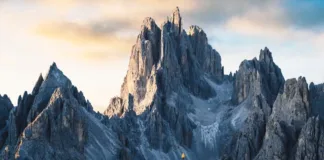 Descubre un ecosistema prehistórico en Los Alpes: vida y naturaleza asombrosas.