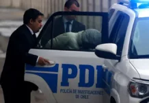 Siete detenidos por robo de madera en Biobío: ganancias de $13 mil millones.