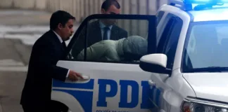 Siete detenidos por robo de madera en Biobío: ganancias de $13 mil millones.
