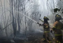 Incendio en Hijuelas consume 74 hectáreas; se mantiene contenido bajo alerta roja.