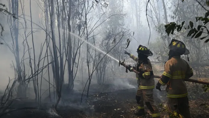 Incendio en Hijuelas consume 74 hectáreas; se mantiene contenido bajo alerta roja. Incendio en Hijuelas consume 74 hectáreas; se mantiene contenido bajo alerta roja.