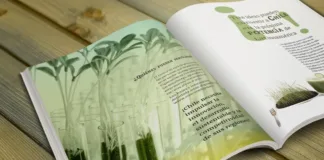 Descubre a los ganadores de los Premios Literarios 2024 y sus obras destacadas.