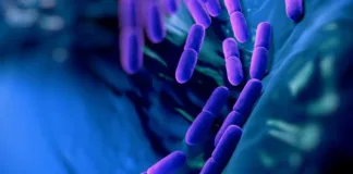 Las ocho bacterias más peligrosas del mundo y su resistencia a los medicamentos.