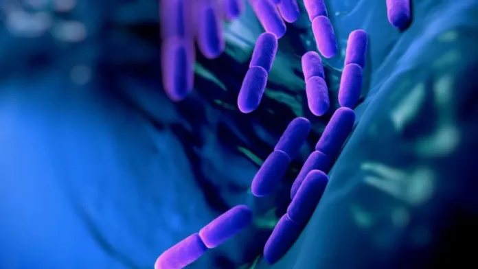 Las ocho bacterias más peligrosas del mundo y su resistencia a los medicamentos. Las ocho bacterias más peligrosas del mundo y su resistencia a los medicamentos.