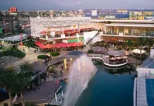 Mallplaza reporta crecimiento en ingresos y récord de ocupación en cinco años.