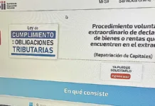 SII aclara detalles sobre repatriación de capitales y criptomonedas.