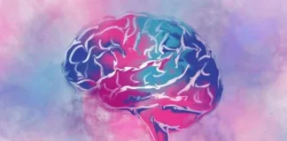 Estudio revela que adultos con autismo no son más vulnerables a delitos.